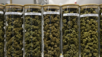 德州禁令：未成年人不得接触四氢大麻酚 (THC) 产品
