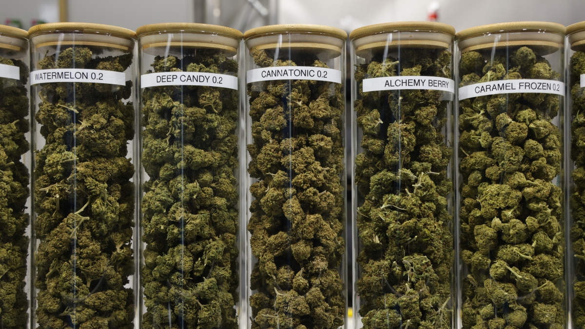 德州禁令：未成年人不得接觸四氫大麻酚(THC) 產品| 德州州長| 農業生命推廣服務部| 德州農工大學| 新唐人电视台