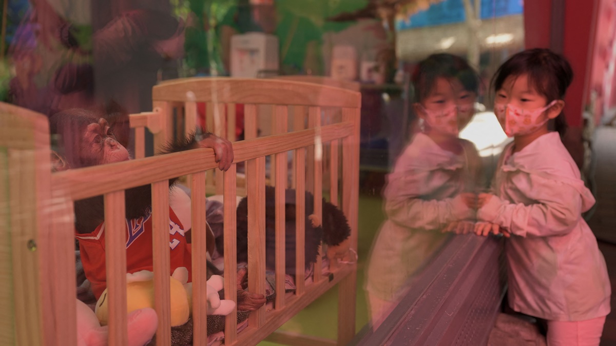 【禁闻】最新报告：揭秘中国婴幼儿器官移植黑幕