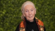 保育專家珍古德過世享壽91歲 6月曾訪問台灣