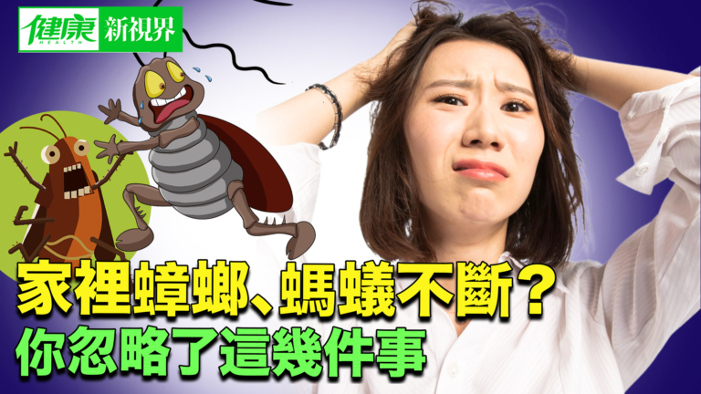 【健康新視界】家裏蟑螂螞蟻不斷？你忽略了這幾件事！