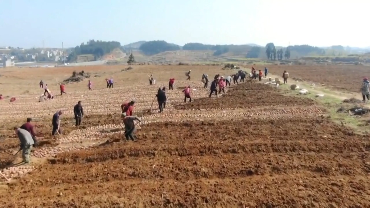 【禁闻】中共亏欠数亿农民 前金融高管吁补偿