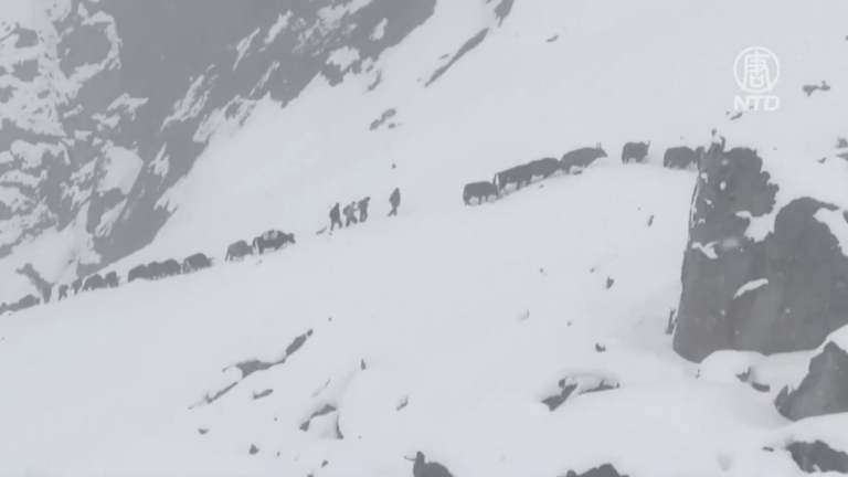數百登山客突遇暴雪受困 尼泊爾暴雨逾50人死亡