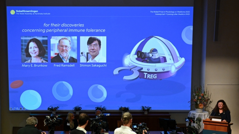 【短訊】2025諾貝爾醫學獎 美日免疫學家共享殊榮