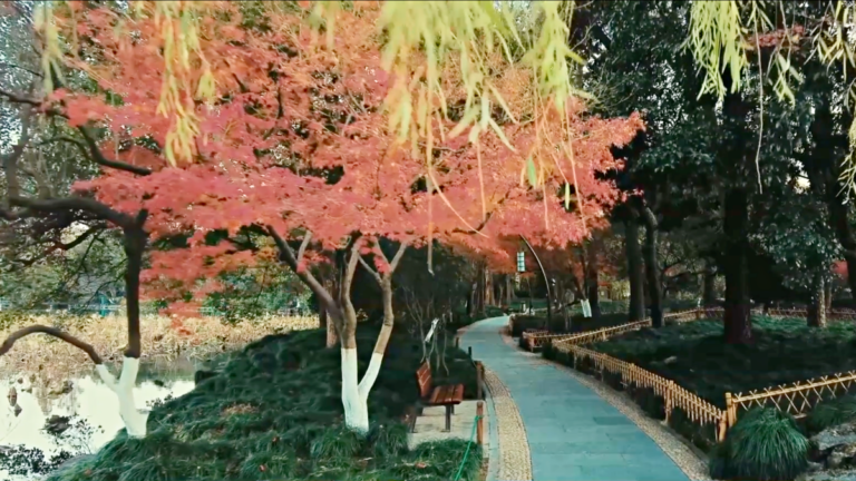 二十四節氣之寒露：黃花紅葉蟹盈筐