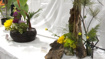 114年双十国庆文艺展 艺文荟萃共绘美好愿景