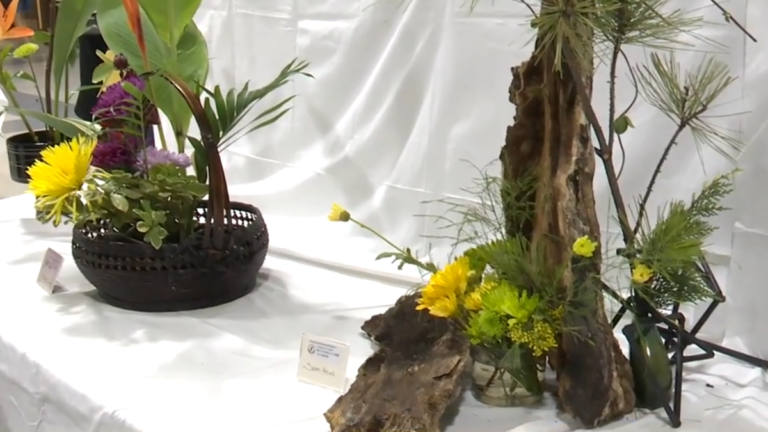114年雙十國慶文藝展 藝文薈萃共繪美好願景