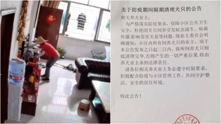 廣東江門發22條防疫負面行為清單 專家：都是常識