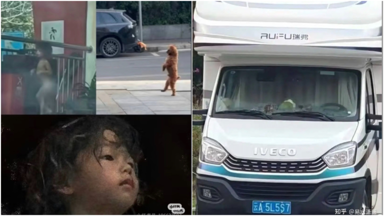堪比鐵鏈女事件 雲南「野孩子」信息遭全網封殺（視頻）
