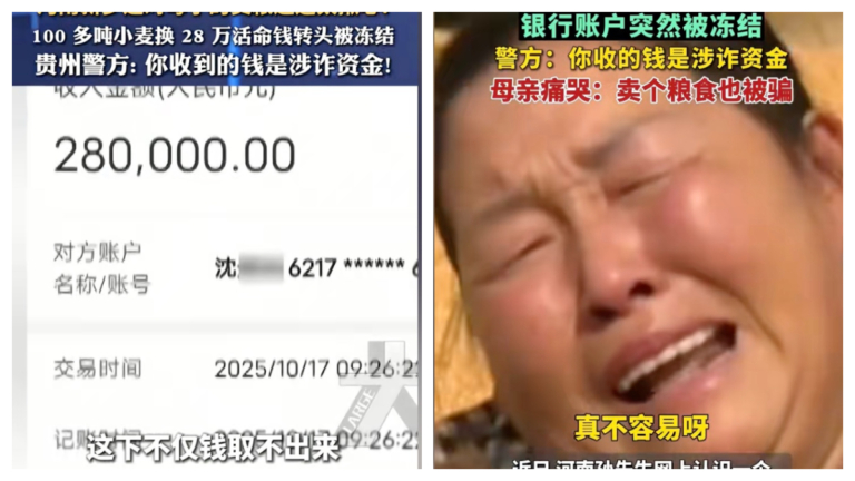 農民也被「遠洋捕撈」 河南農戶賣小麥28萬元被凍結