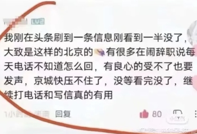 投屏、評論、抵制大理 民眾持續為「野孩子」發聲