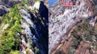 河南老君山再现神秘“阴阳分界线”奇观