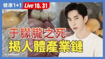 【健康1+1】于朦朧慘死揭黑幕？ 曝光人體產業鏈