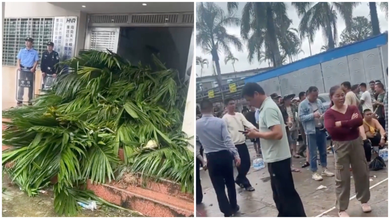 海南國企砍農戶檳榔樹 引民憤 警方鳴槍鎮壓