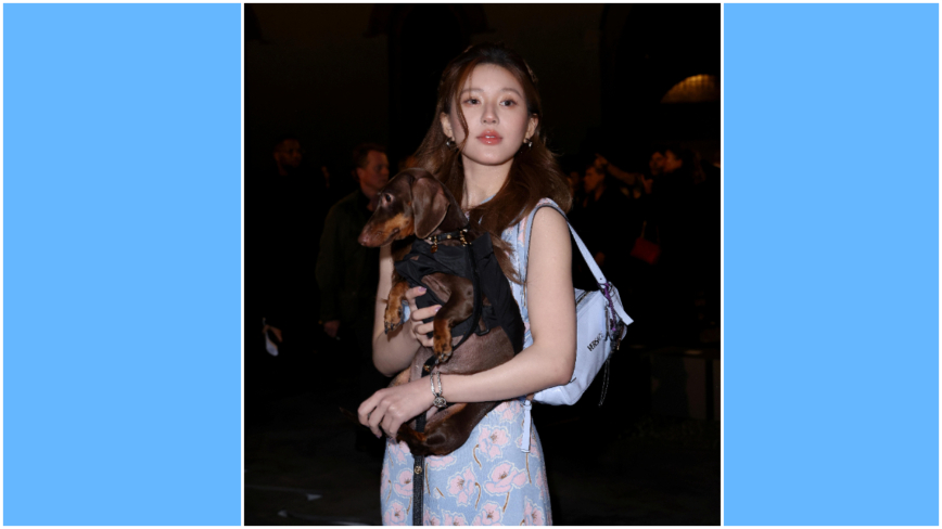 赵露思翻身变老板？传新剧挑战失意女作家