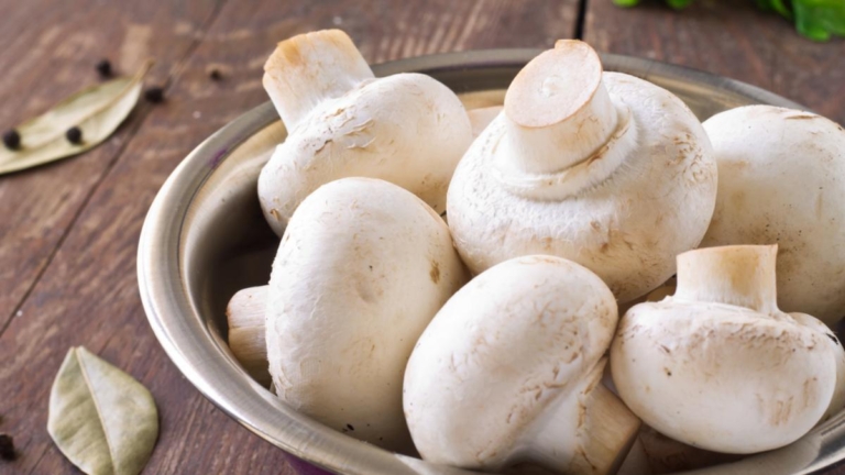 研究發現「蘑菇」可作為有機記憶電阻