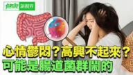 【健康新视界】心情郁闷 可能是肠道菌群在作怪！