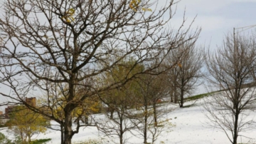 二十四節氣之立冬：敬天惜物 順時而安