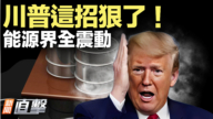 【新聞直擊】川普這招狠 能源界全震動