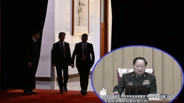 袁斌：盤點張又俠被抓的四大原因