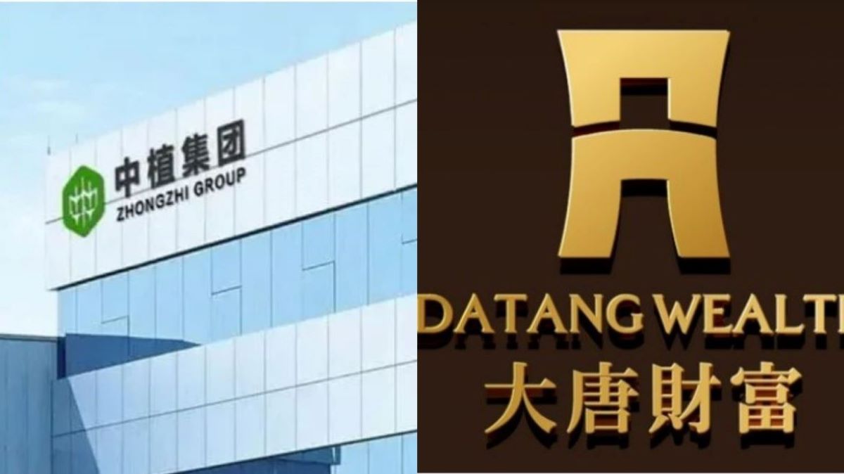 冰山一角！金融资本大鳄中植系高管首例获刑| 中植集团| 大唐财富| 影子银行| 新唐人电视台