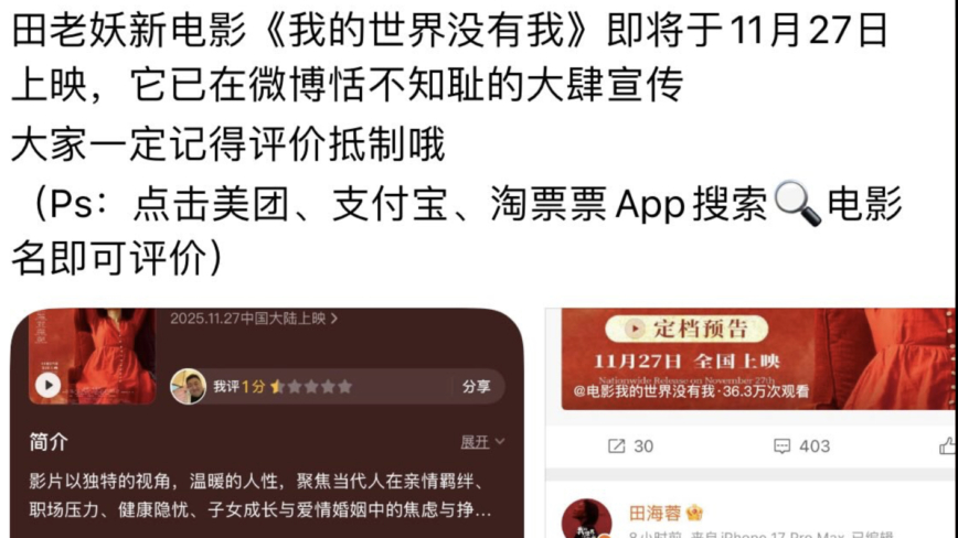 田海蓉自導新片定檔 網絡繼續抵制：你的票房沒有我