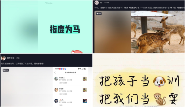 雲南假「野孩子」真名曝光 「指鹿為馬」的諷刺刷屏