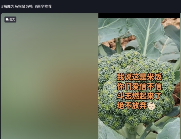雲南假「野孩子」真名曝光 「指鹿為馬」的諷刺刷屏