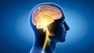 最新研究：這一能力或能延緩大腦衰老