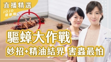 【健康1+1】家事妙招加精油：蟑螂、蚊蟻不再來！