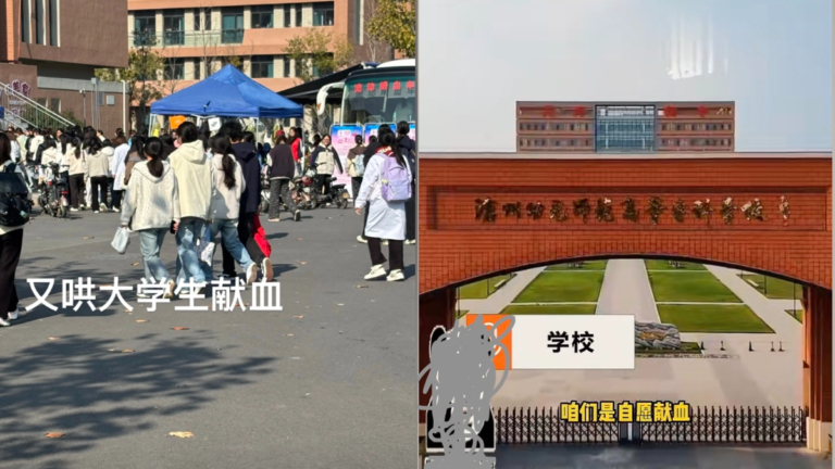 從利誘變強制？河北高校逼學生抽籤獻血 1班3名額