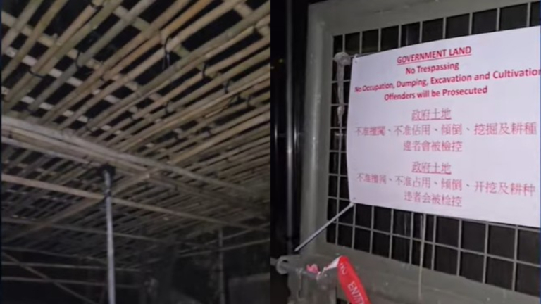 香港婦非法建毛澤東館 被責令限期清拆