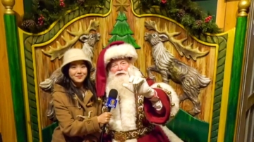 纽约百年传统 梅西圣诞橱窗诉说“最美好故事”