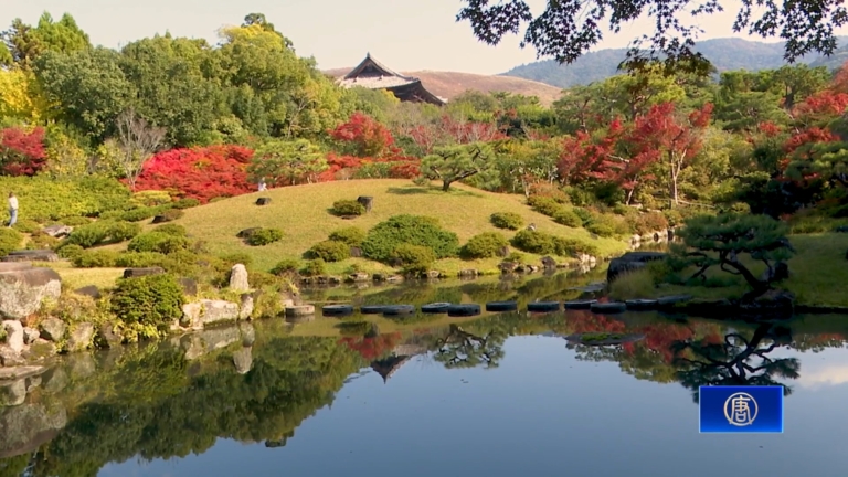 奈良依水園紅葉報秋濃 日式庭園秀深秋美色