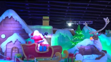 穆迪花园节日冰雕展开幕 呈现世界特色人文风景