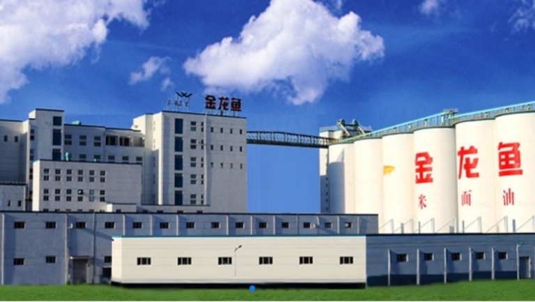金龍魚子公司涉合同詐騙罰金百萬 開説明會喊冤