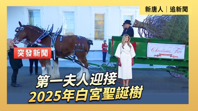 【直播】第一夫人迎接2025年白宮聖誕樹