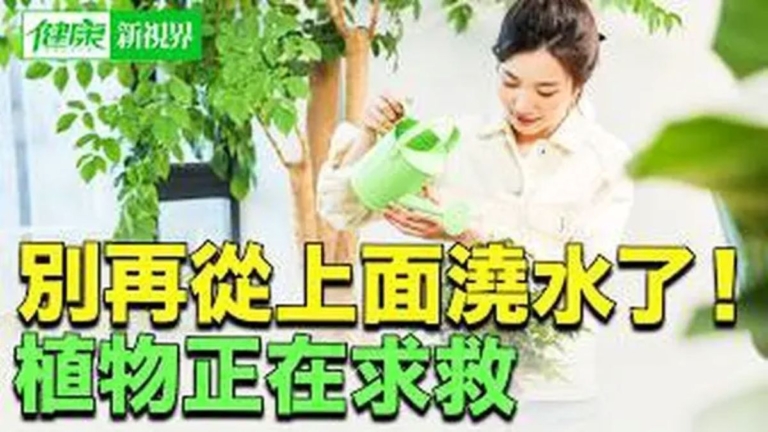【健康新視界】植物總是枯萎生病 其實是「澆水方式錯了」
