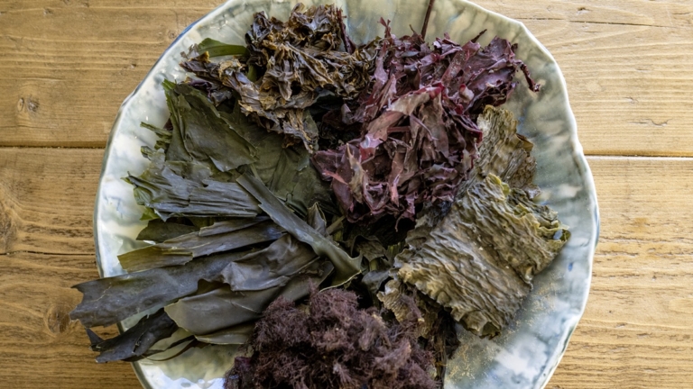 海苔出口創新高 韓企乘勢擴大全球市場版圖