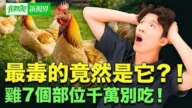 【健康新视界】鸡肉7大高风险部位 教你吃得安心又健康