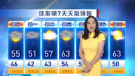 11月29日休斯顿天气预报