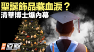 【新聞直擊】聖誕飾品藏血淚？清華博士爆內幕