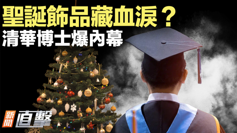【新聞直擊】聖誕飾品藏血淚？清華博士爆內幕