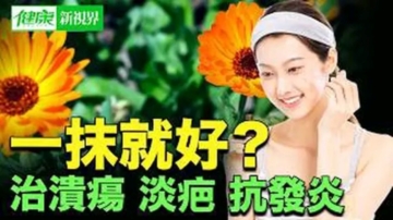 【健康新視界】金盞花的功效 絕不只是好看而已