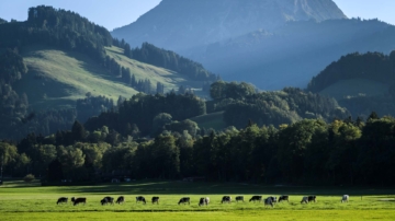 三戰萬一真爆發 記住這八個可避禍的國家