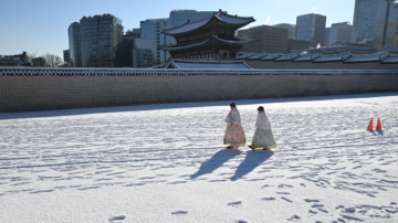 「大雪吃三寶，不往醫院跑」 其中一寶家家都有