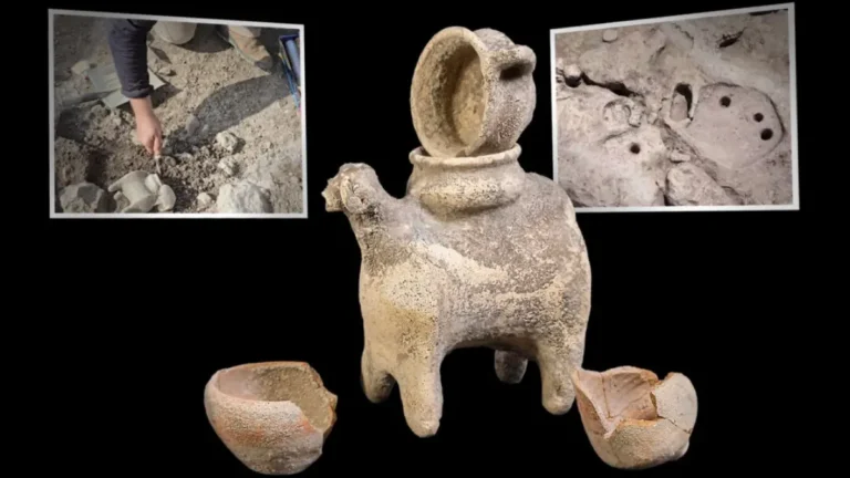 失落的文明 以色列發現3300年前祭祀器皿