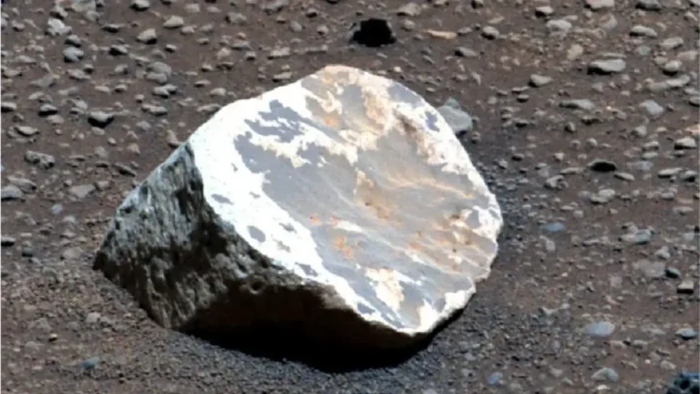 火星曾有熱帶雨林？NASA毅力號發現新證據
