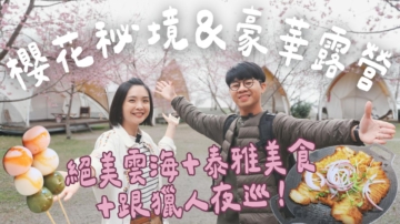 1000步的繽紛台灣：新竹櫻花祕境 豪華露營