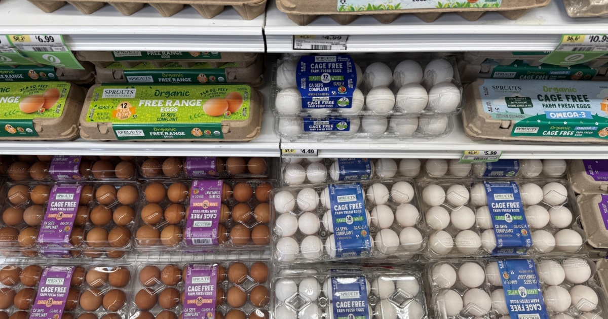 白殼蛋與褐殼蛋哪種更營養？解析健康謬誤